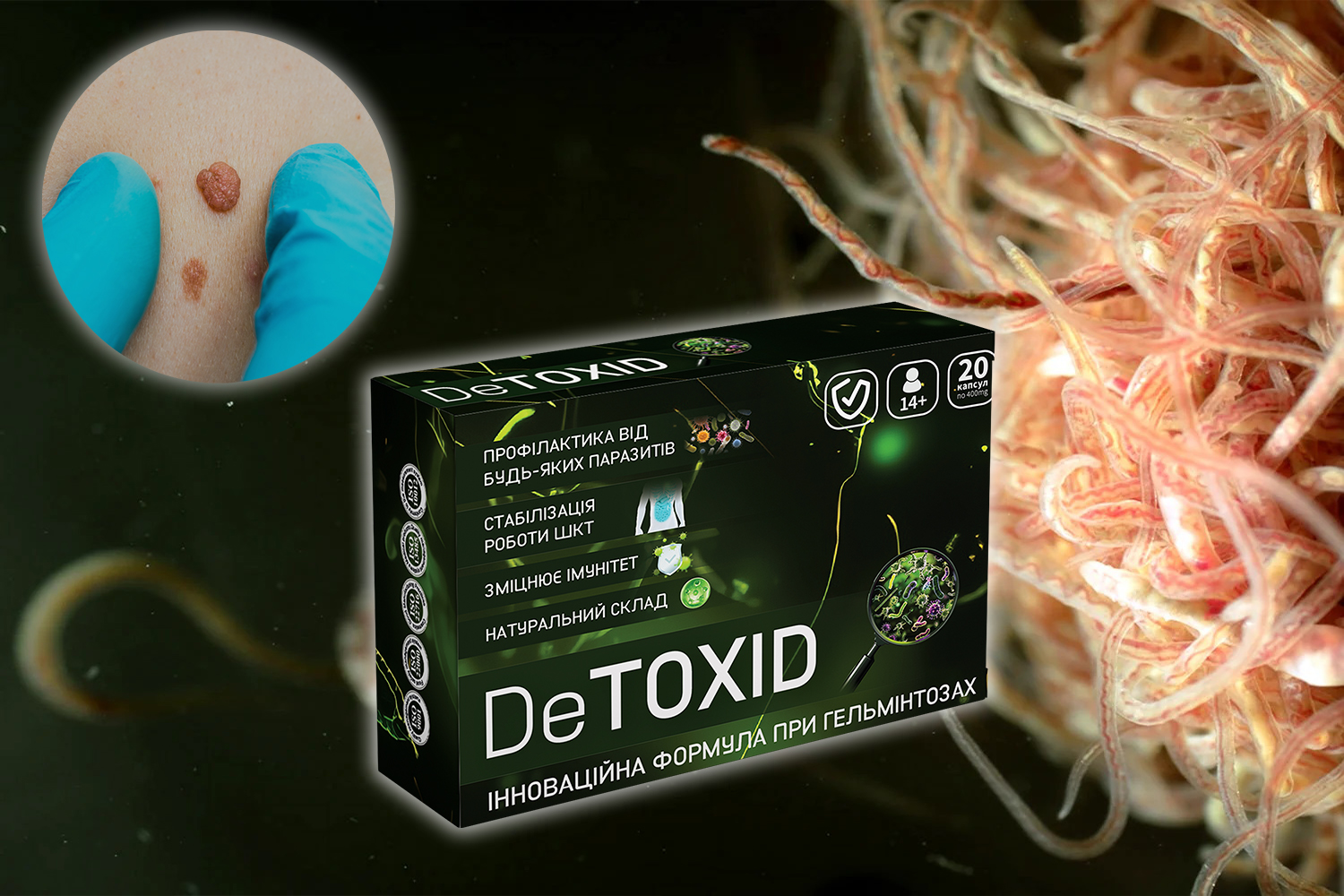 detoxid